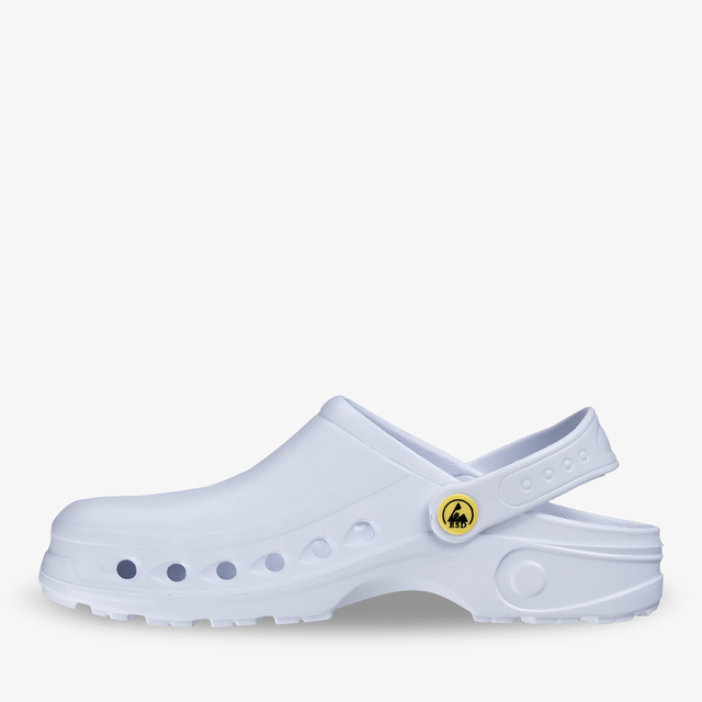 SONIC WHT WEB02