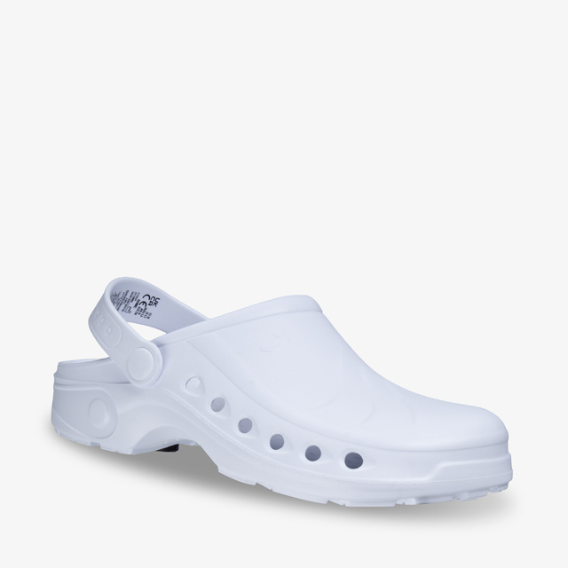 SONIC WHT WEB03